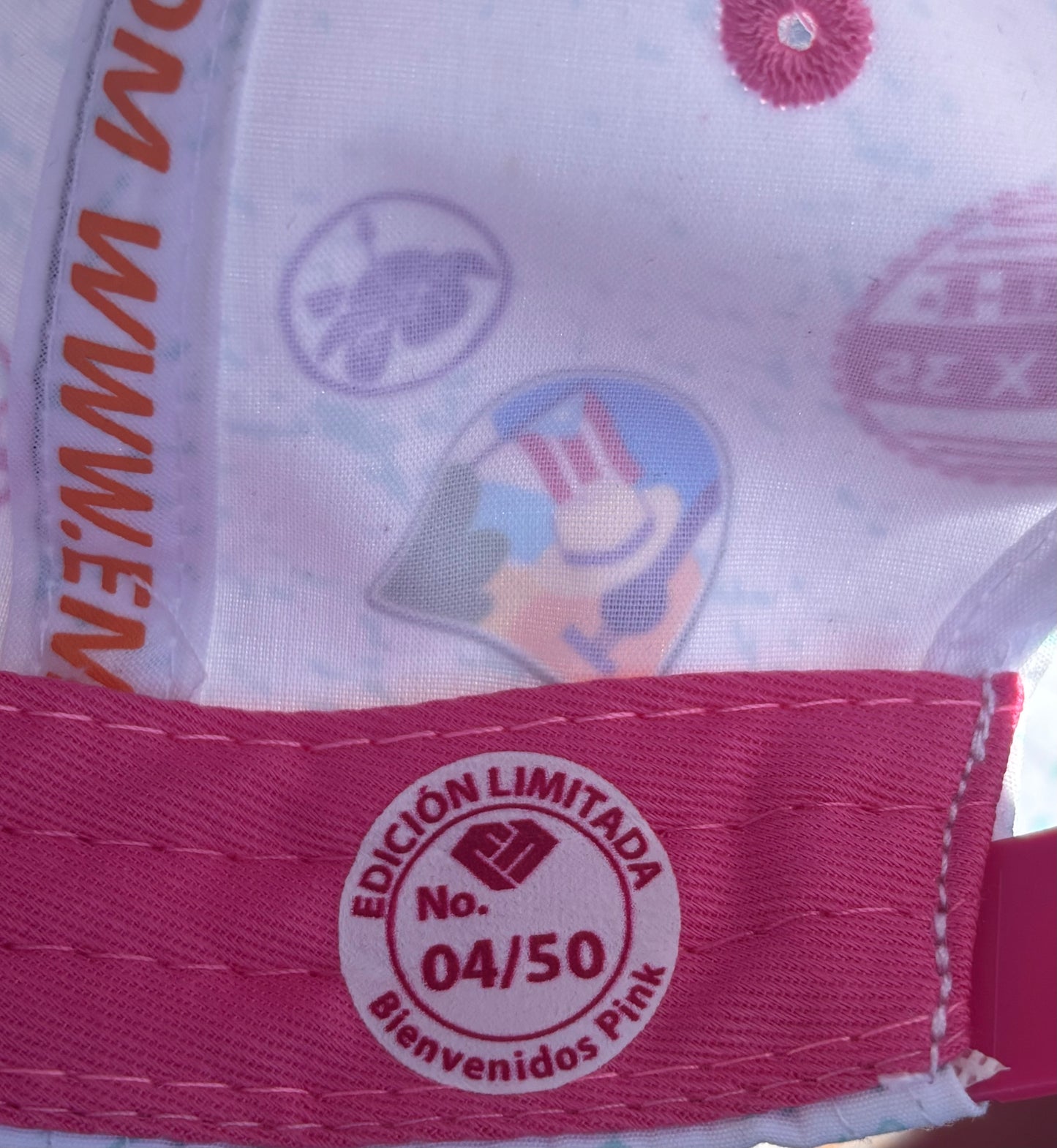 Bienvenidos Suede PINK Curved Visor Snap Back EDICIÓN LIMITADA